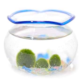 マリモ様　専 51Vu+iJAO9L._UF350,350_QL50_.jpg